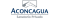 files/pictures/picture-105238.png